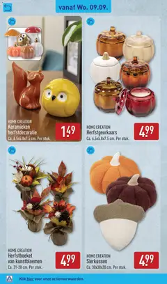 Herfstboeket van kunstbloemen, HOME CREATION Herfstboeket van kunstbloemen Ca. 21-28 cm. Per stuk. - Voorbeeld van een folder van Aldi, geldig van 07-09-2026 | Pagina: 40 | Producten: Kunstbloemen