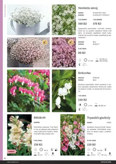Náhled letáku Starkl katalog od 25.02.2026 | Strana: 86 | Produkty: Cibule