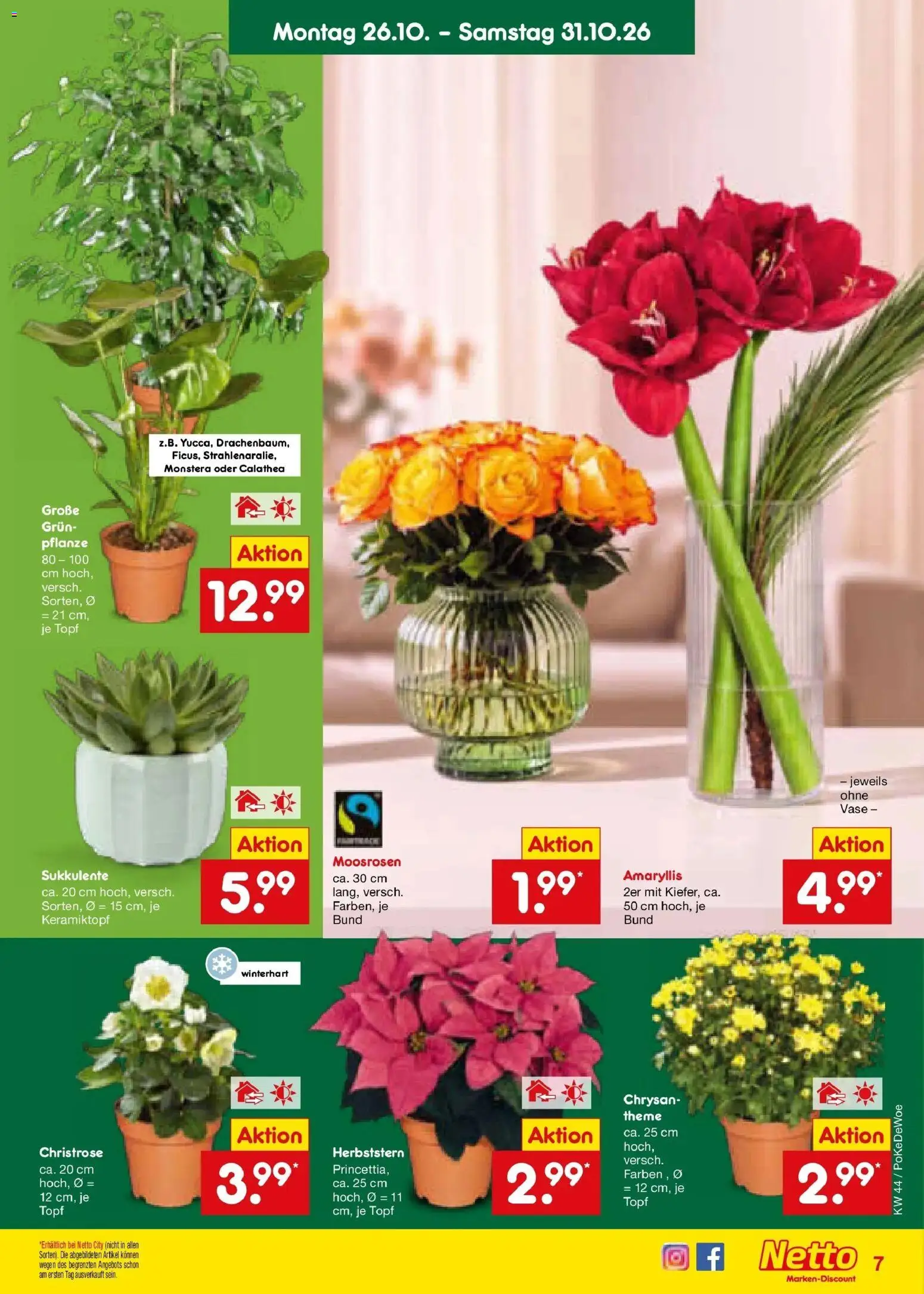 Netto Marken-Discount Prospekt Buttenwiesen – gültig ab 26.10.2026 | Seite: 9 | Produkte: Vase