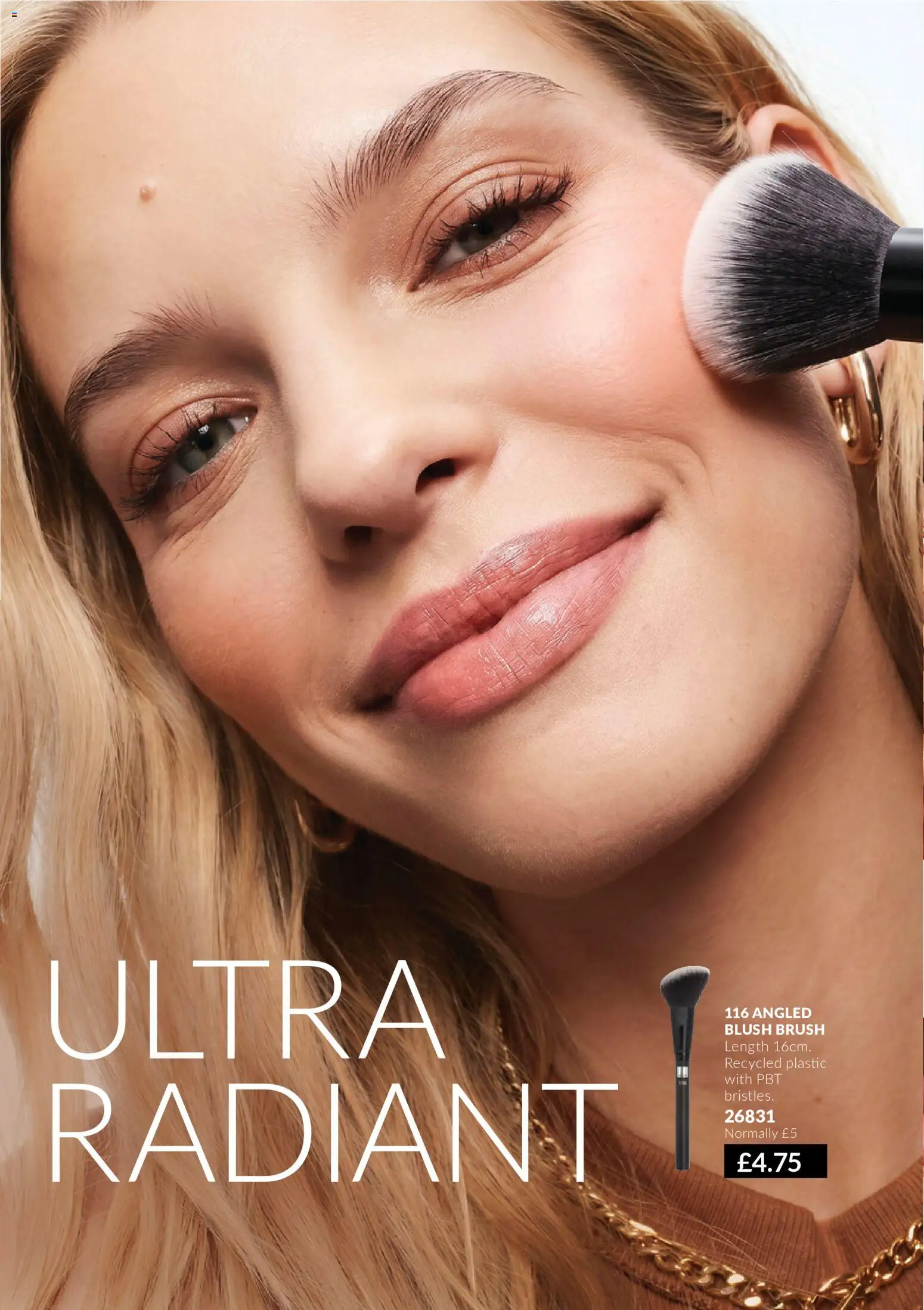{H1} | Page: 34 | Products: Brush