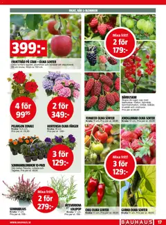 Bauhaus erbjudanden - Förhandsvisning av reklamblad från butik Bauhaus aktuell från 01.05.2026 | Sida: 17