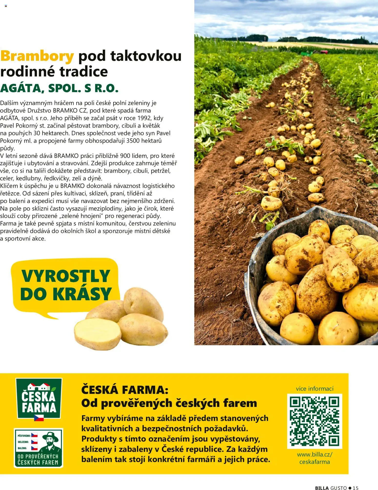 Billa leták - Gusto: Podzim 2026 od 01.09.2026 | Strana: 15 | Produkty: Květák, Zelí, Brambory