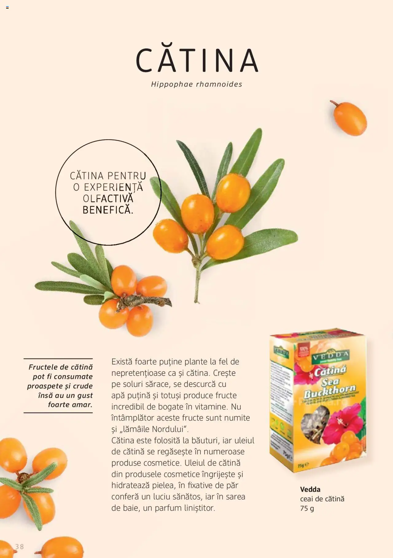 Noul catalog DM drogeriemarkt – valabil de la 01.01.2022 | Pagină: 38