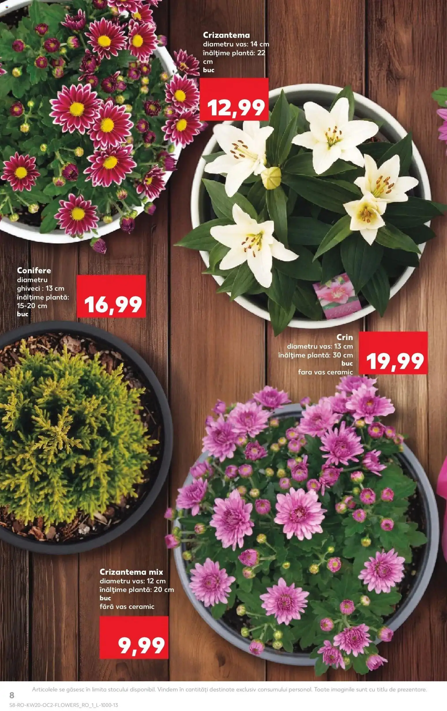 Noul catalog Kaufland – valabil de la 13.05.2026 | Pagină: 8 | Produse: Ghiveci