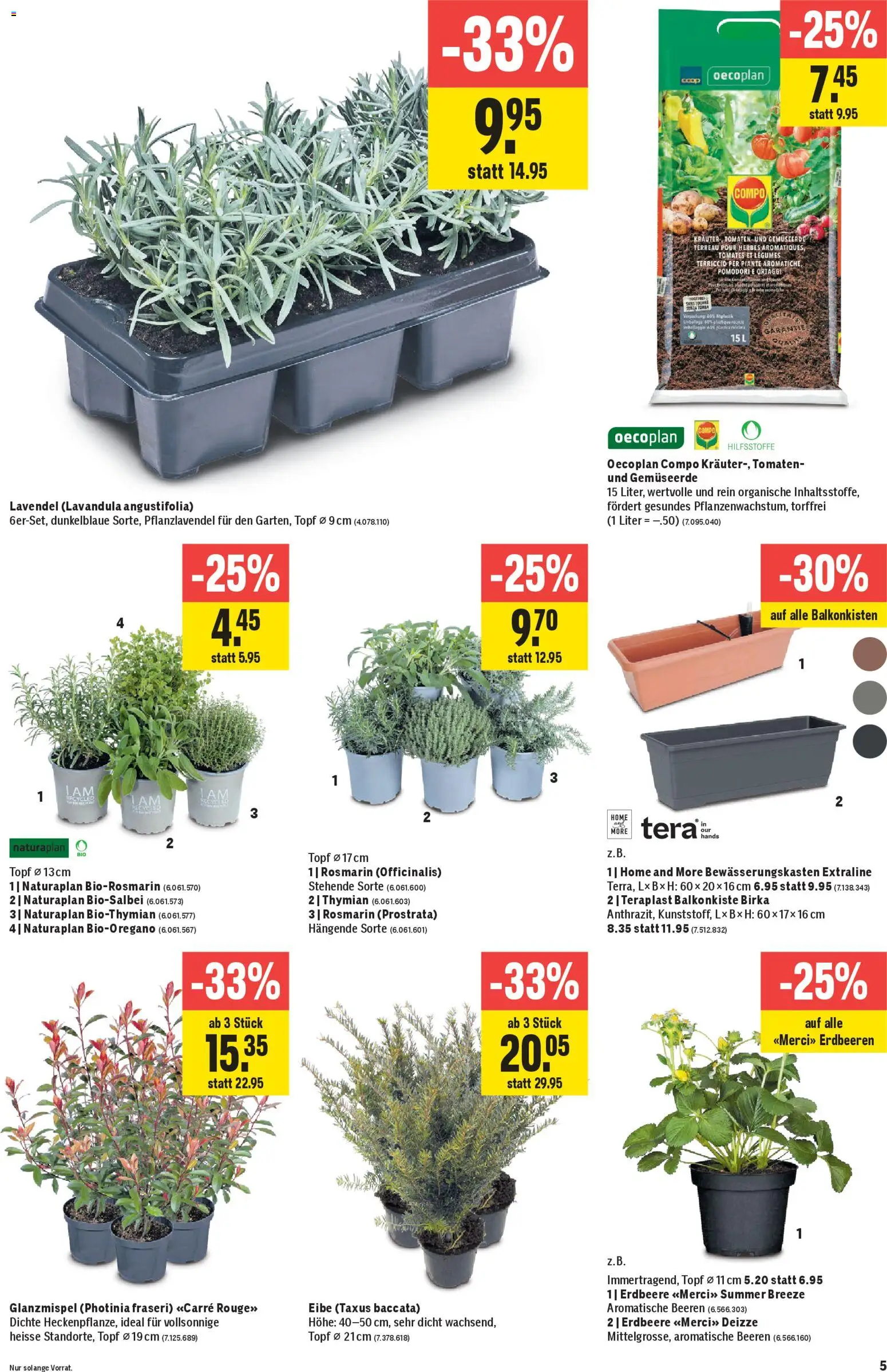 Jumbo aktionen – gültig ab 09.04.2026 | Seite: 5 | Produkte: Tomaten, Erdbeeren