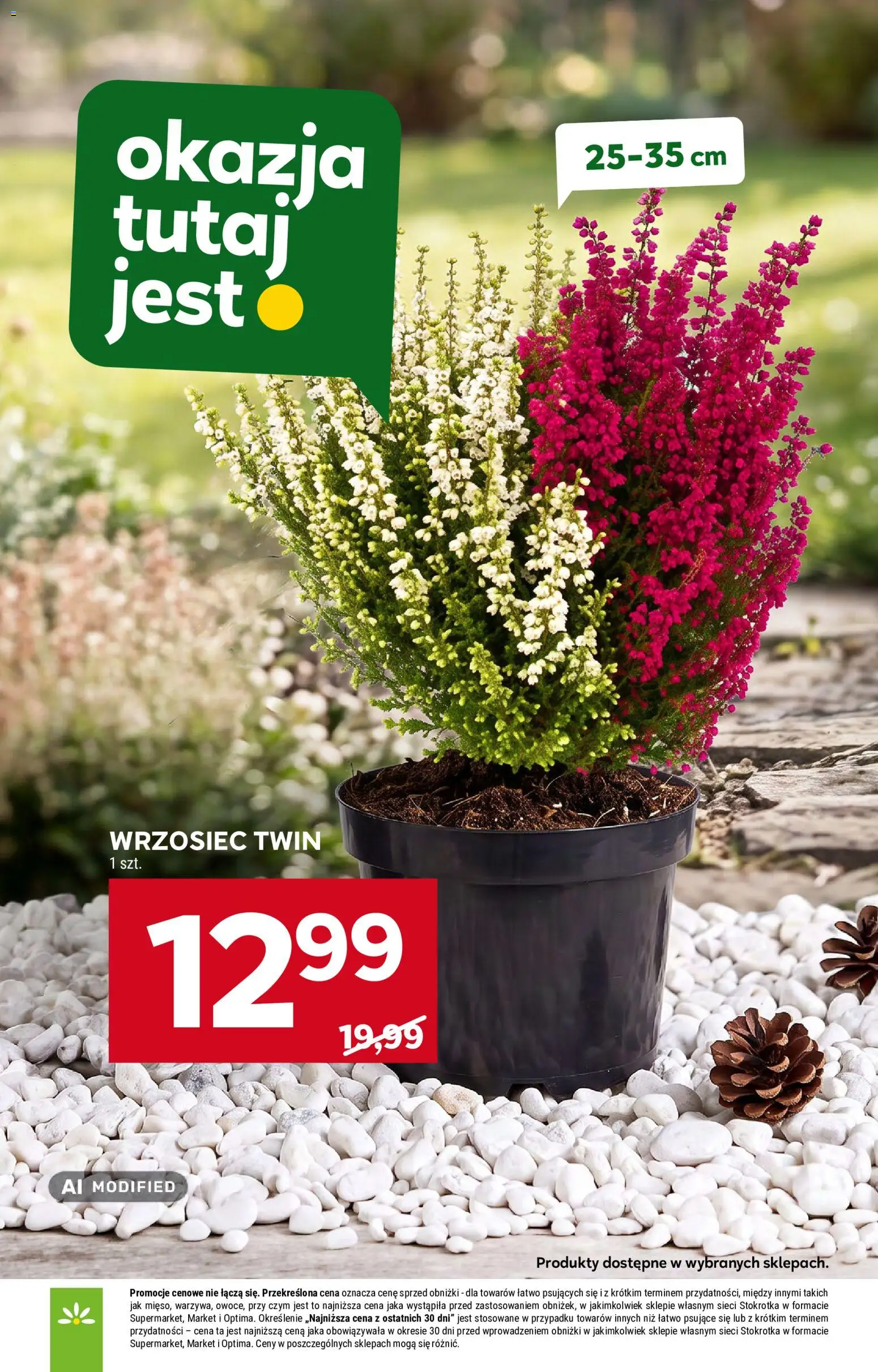 Stokrotka gazetka - Market od 24.09.2026 | Strona: 29 | Produkty: Stokrotka