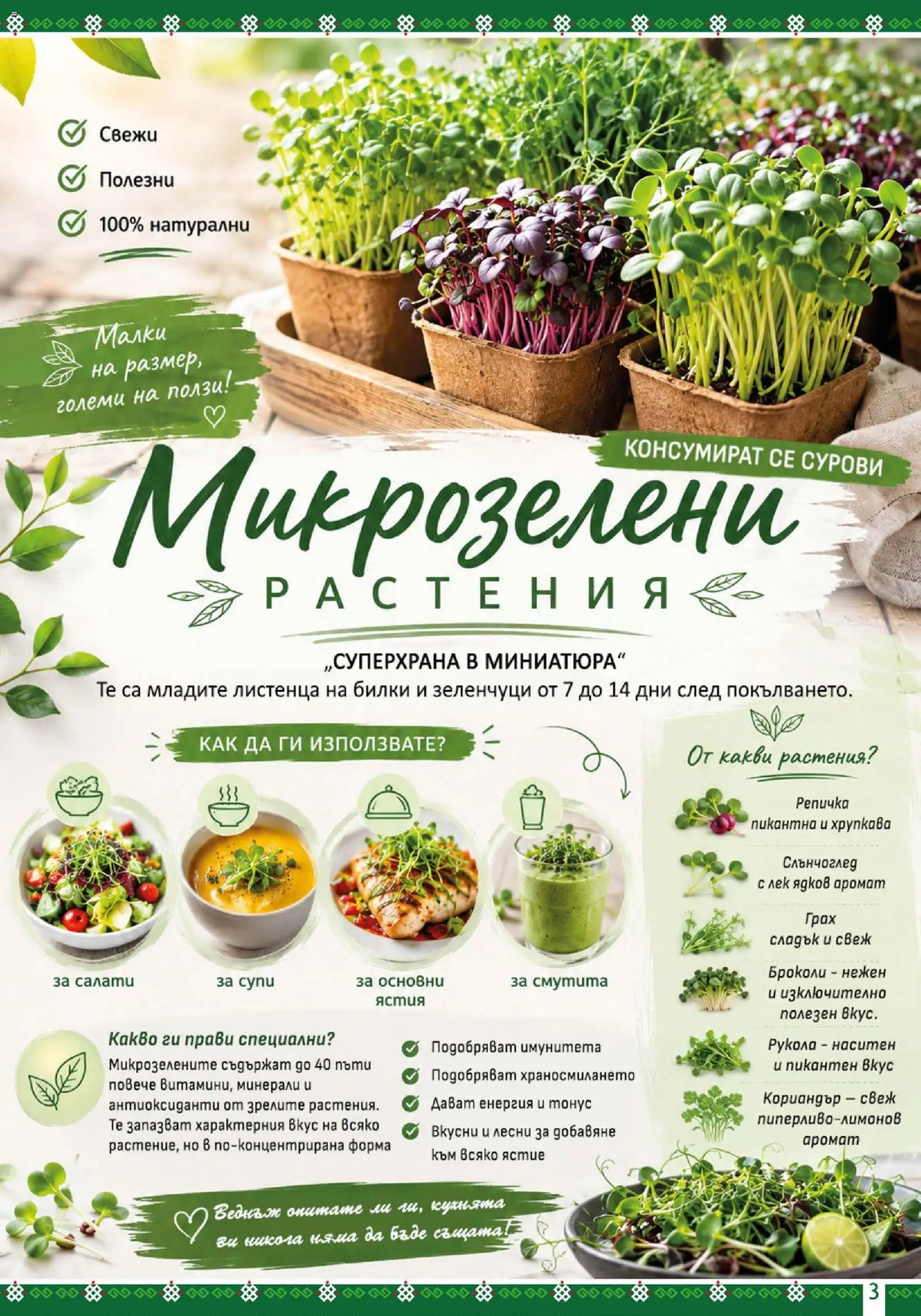 {H1} | Страница: 3 | Продукти: Билки, Броколи, Грах, Аромат