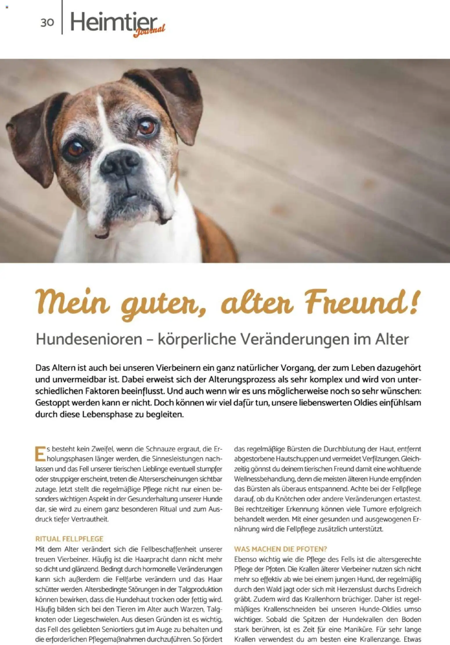 zookauf Heimtier Journal – gültig ab 01.07.2026 | Seite: 30