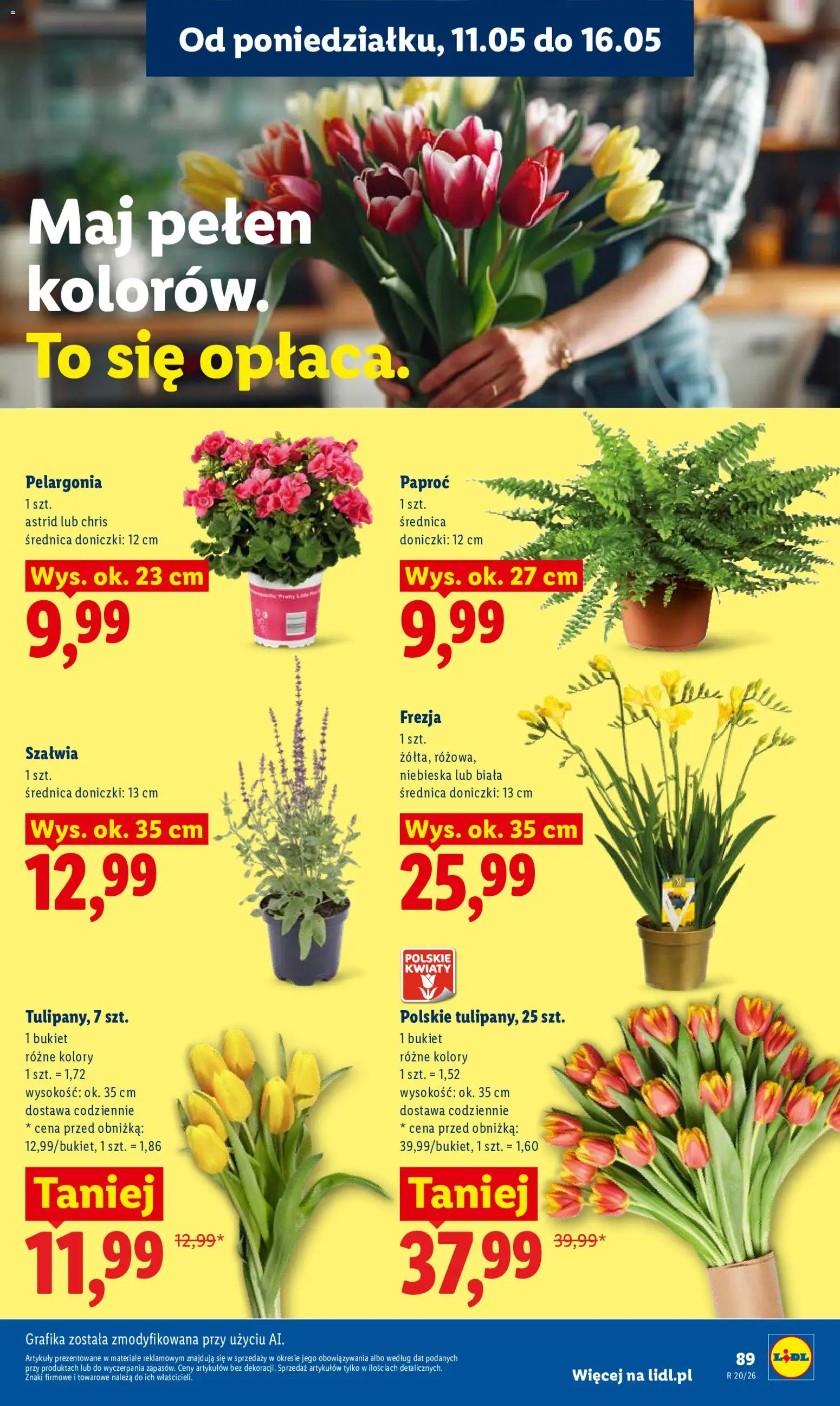 Lidl gazetka od 11.05.2026 | Strona: 91