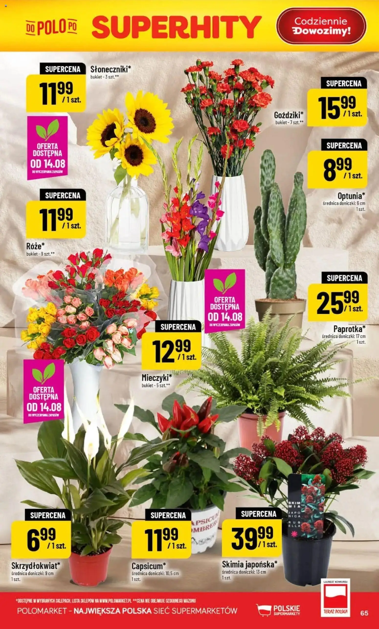 Nowa POLOmarket gazetka od jutra 12.08.2026 | Strona: 65 | Produkty: Doniczki