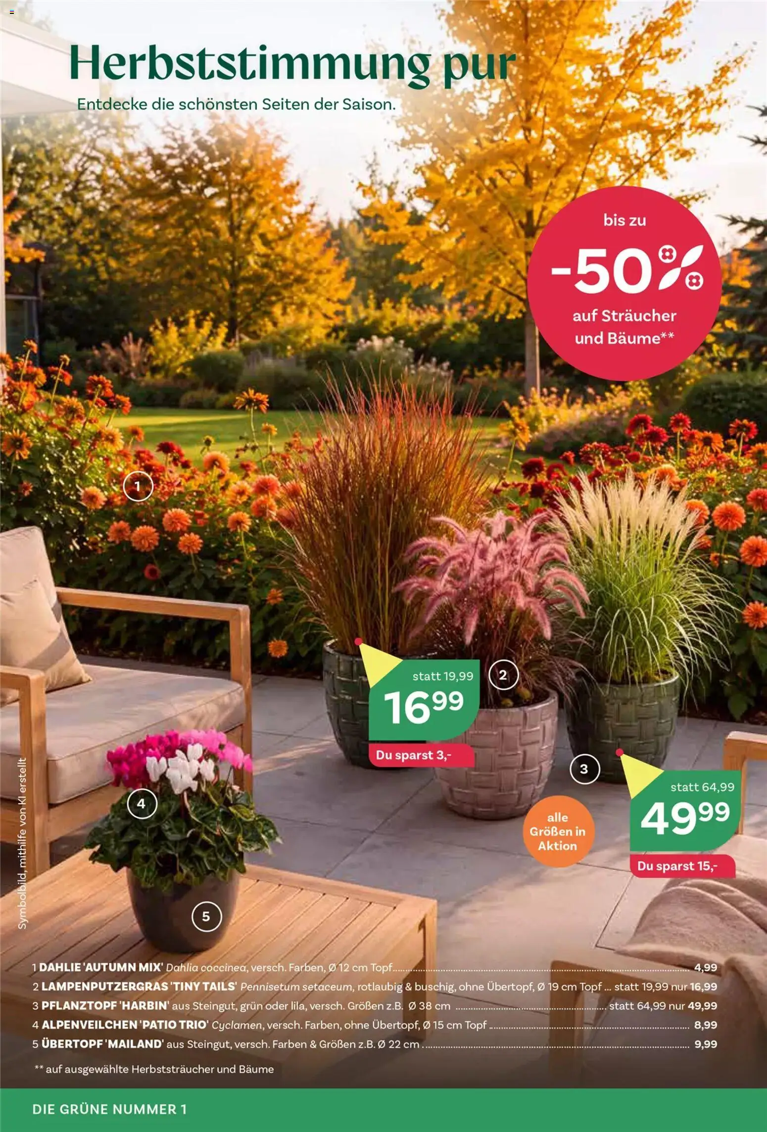 bellaflora Flugblatt gültig ab 10.09.2026 | Seite: 1