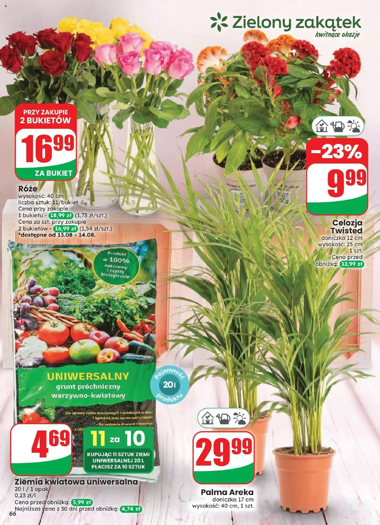 Dino gazetka od 12.08.2026 | Strona: 66 | Produkty: Ziemia, Palma, Doniczka, Palma Areka