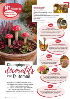 VillaVerde - Prévisualisation de VillaVerde catalogue valide à partir de 30/09/2026 | Page: 34 | Produits: Champignons, Poudre, Champignon, Chapeau