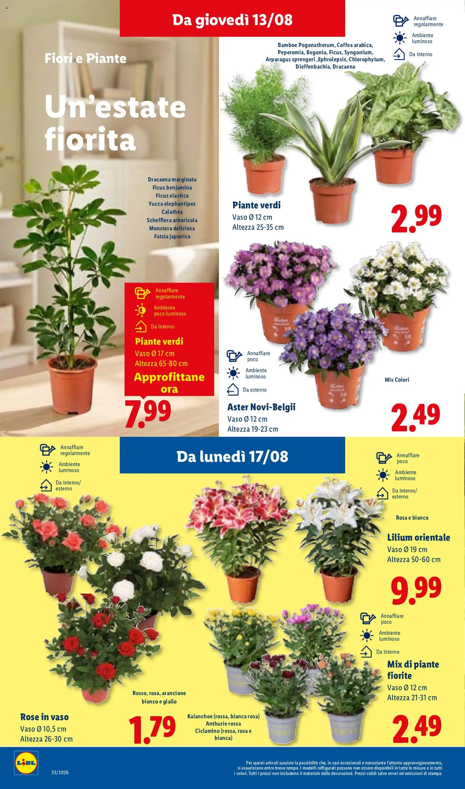 Volantino Lidl del 13/08/2026 | Pagina: 28