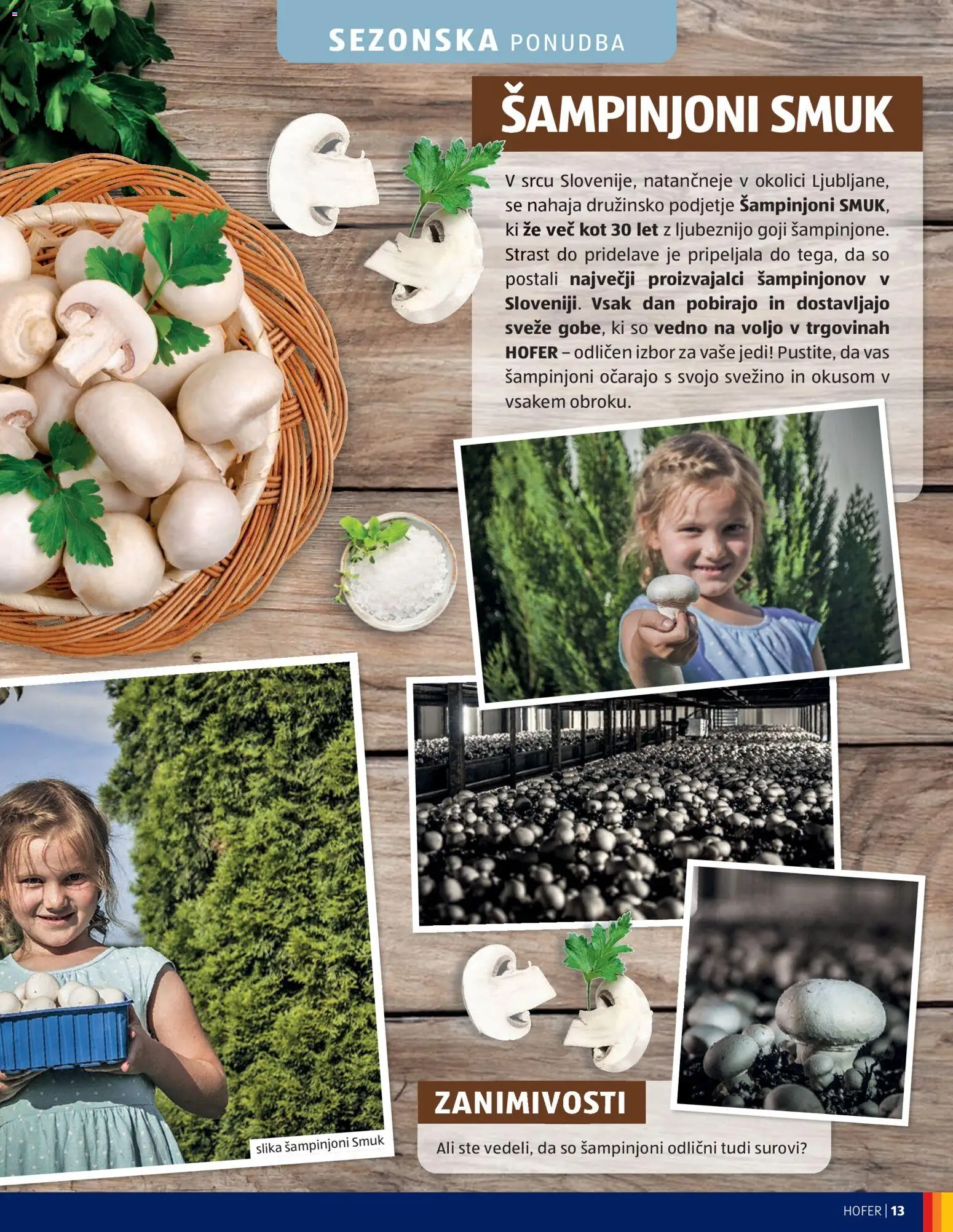 Novi Hofer katalog ponudbe – veljaven od 02.09.2026 | Stran: 13