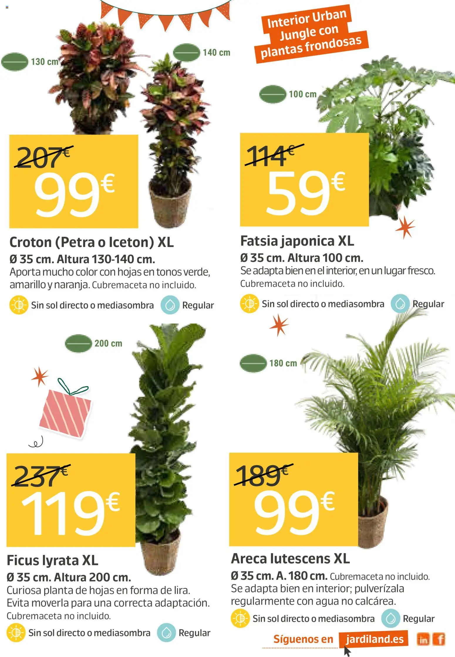 Jardiland folleto │ válido desde el 21.05.2026 | Página: 3