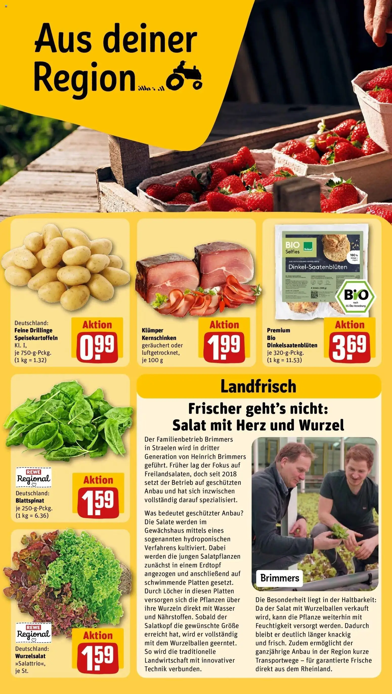 Rewe Prospekt Neuss / Allerheiligen	 – gültig ab 27.04.2026 | Seite: 22 | Produkte: Wasser, Salat
