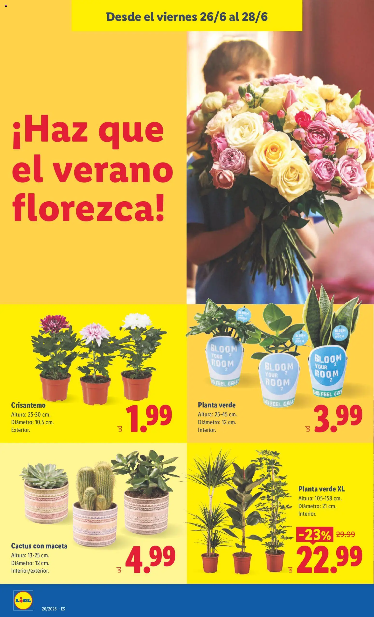 Lidl folleto │ válido desde el 22.06.2026 | Página: 40 | Productos: Maceta