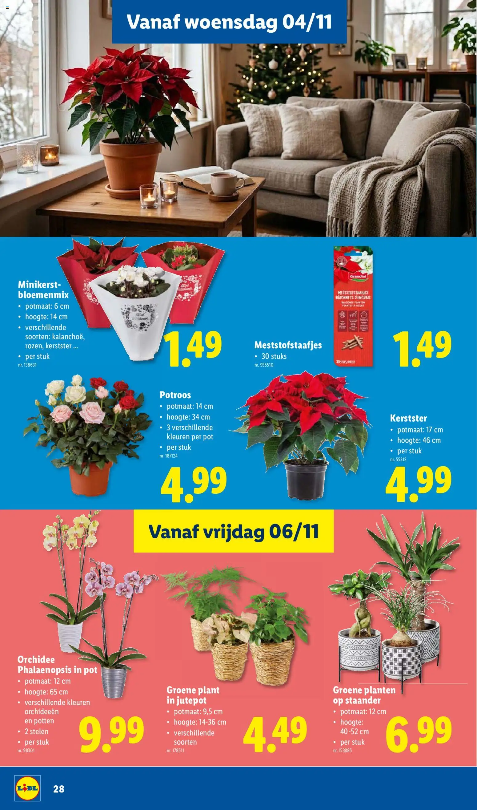 {H1} | Pagina: 28 | Producten: Orchidee, Pot