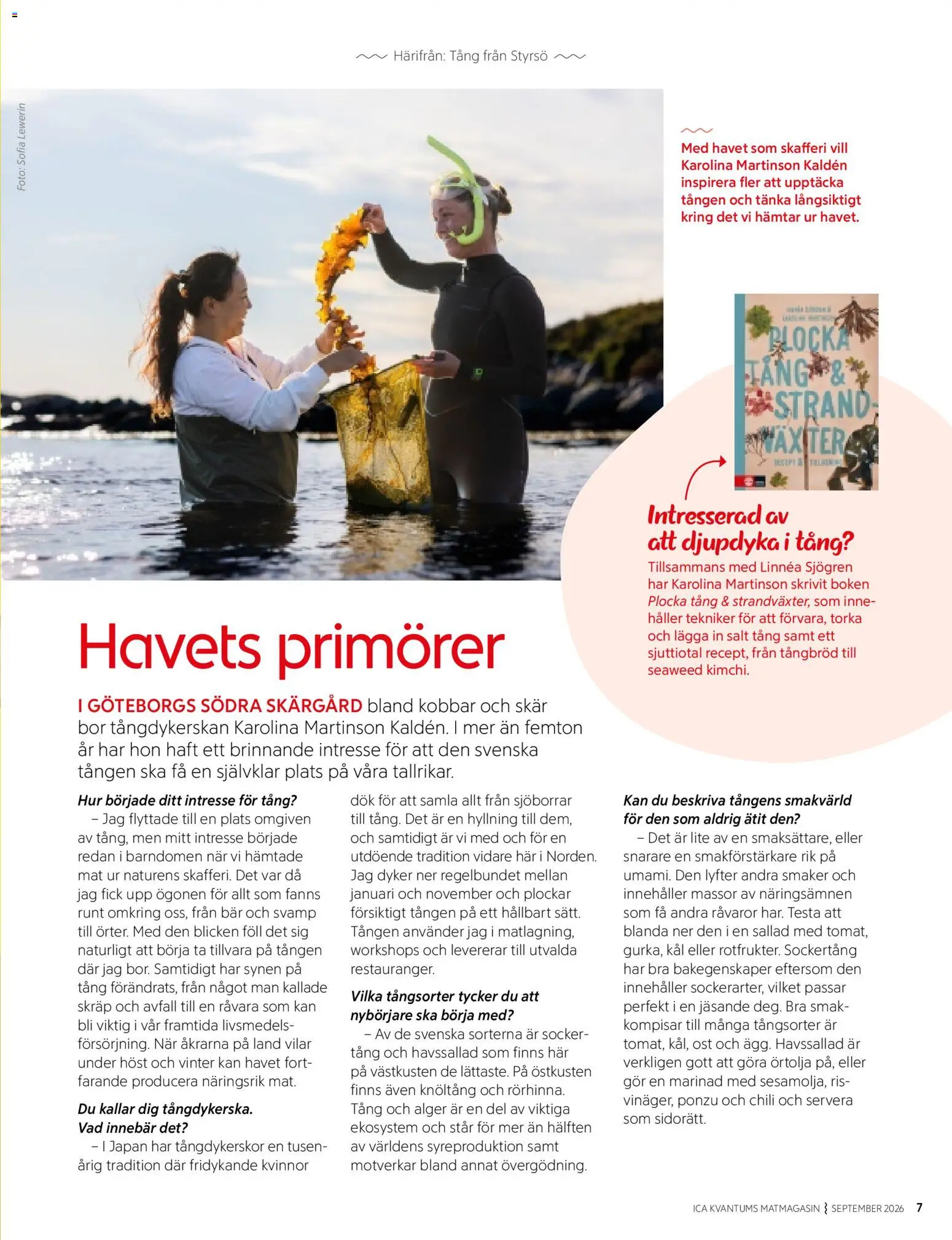 ICA Kvantum reklamblad aktuell från 01/09/2026 | Sida: 7 | Produkter: Kål, Svamp, Marinad, Socker