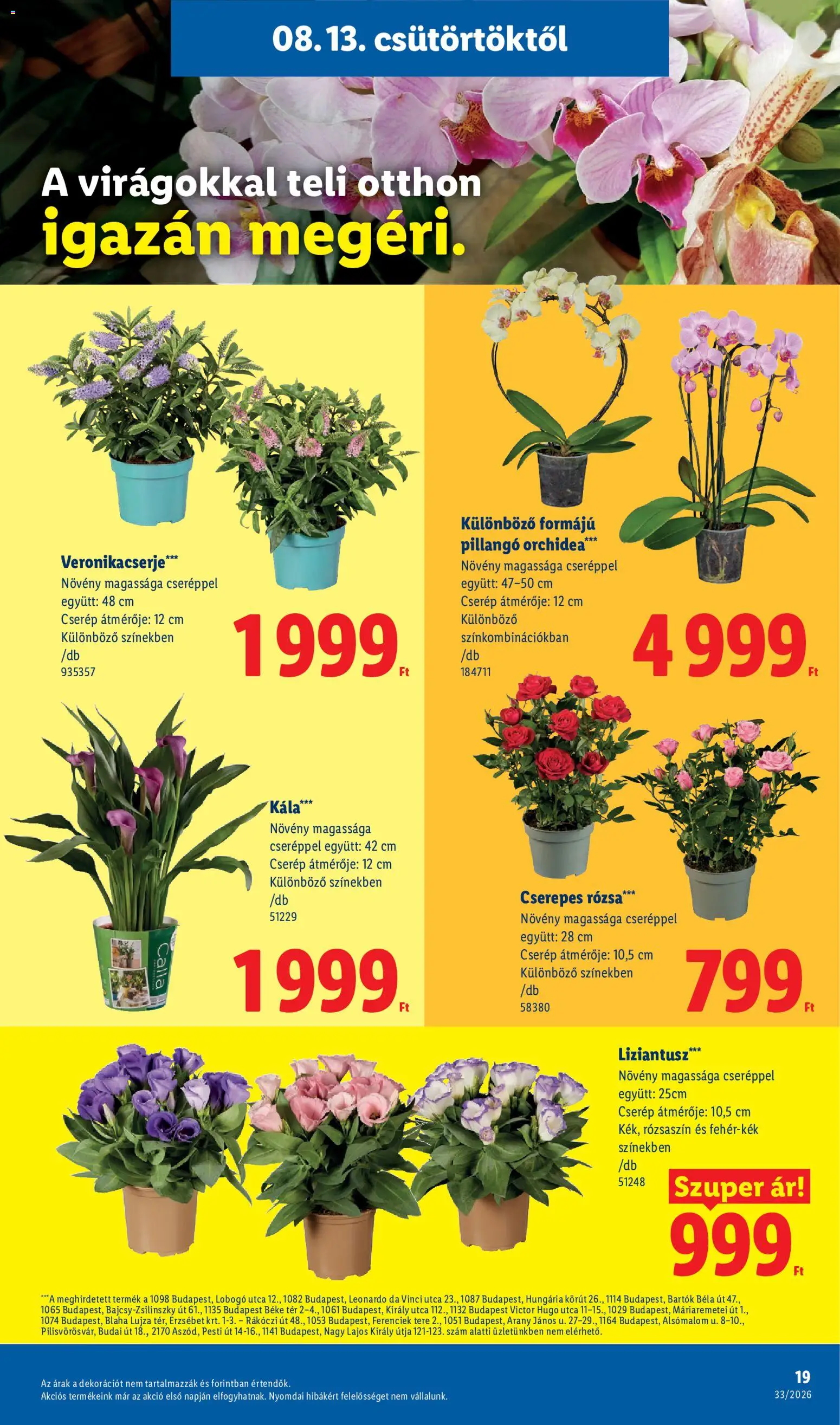 Lidl akciós ujság - amely érvényes a következő dátumtól: 2026.08.13. | Oldal: 19 | Termékek: Orchidea, Rosé