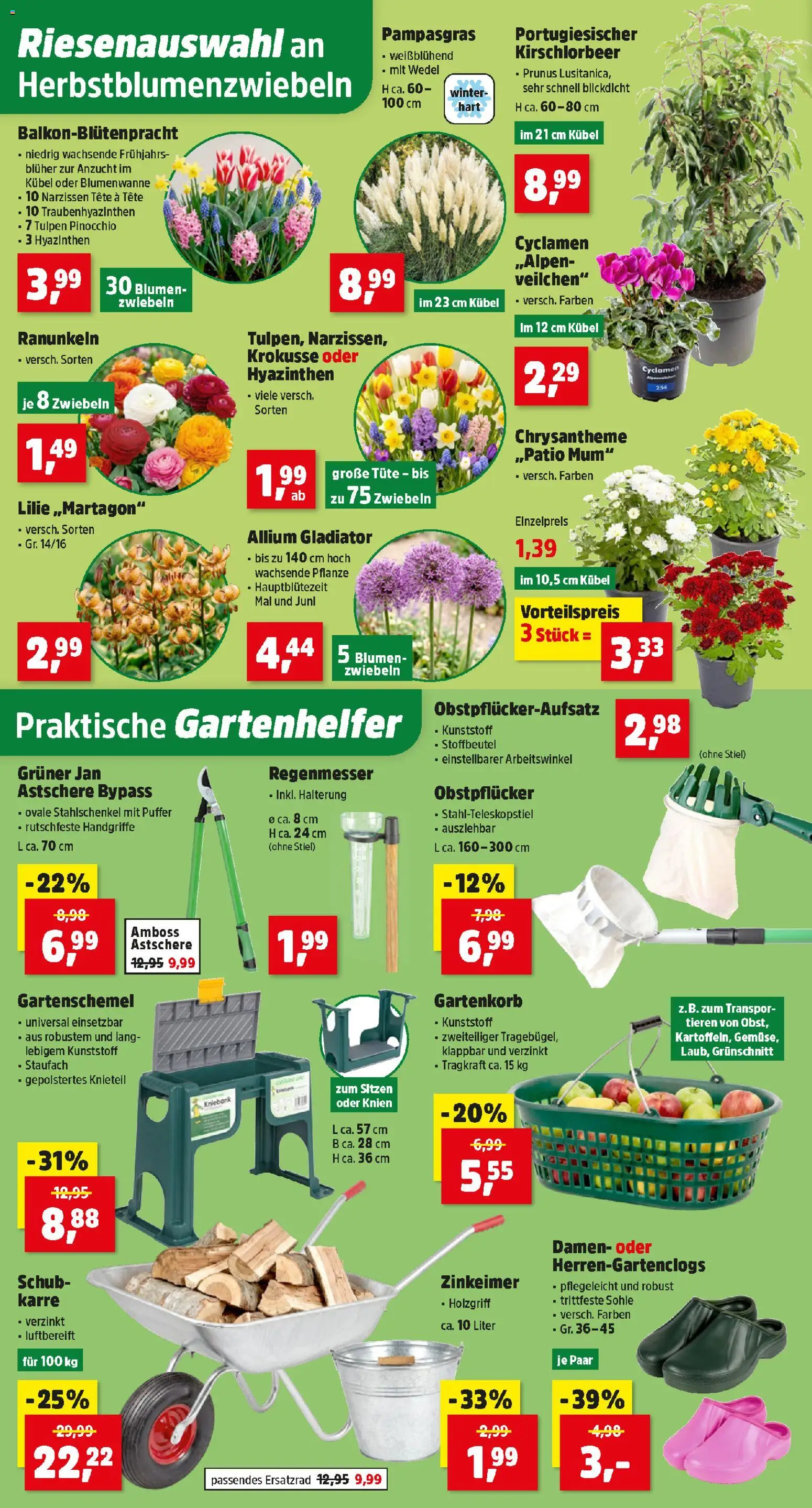 Thomas Philipps Flugblatt gültig ab 21.09.2026 | Seite: 2
