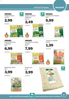 Anteprima del volantino Sogegross volantino valido a partire dal 12/08/2026 | Pagina: 13 | Prodotti: Caro, Spinaci, Zucchine, Cipolline