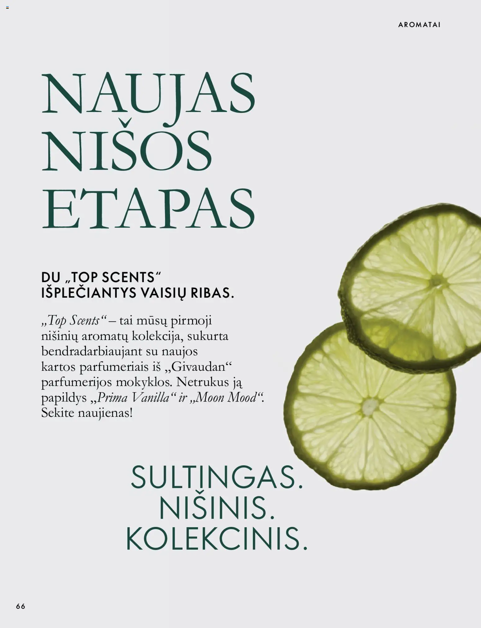Oriflame akcijos nuo 2026.10.07 | Puslapis: 66