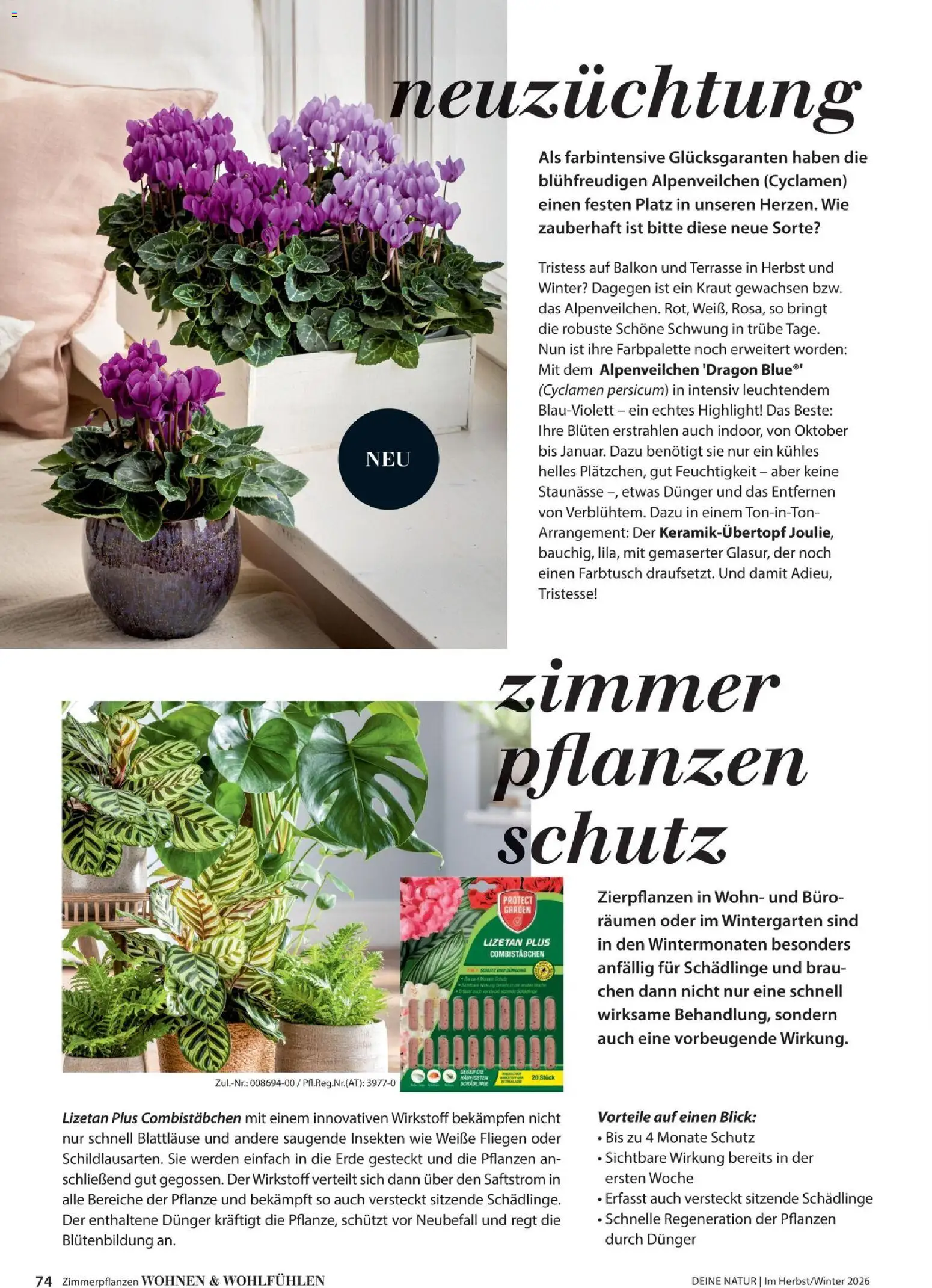 Dehner Prospekt – gültig ab 09.10.2026 | Seite: 74