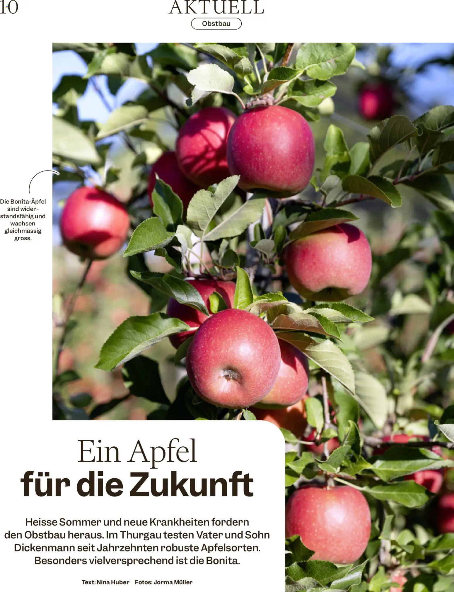 Migros aktionen Magazine – gültig ab 21.10.2026 | Seite: 10