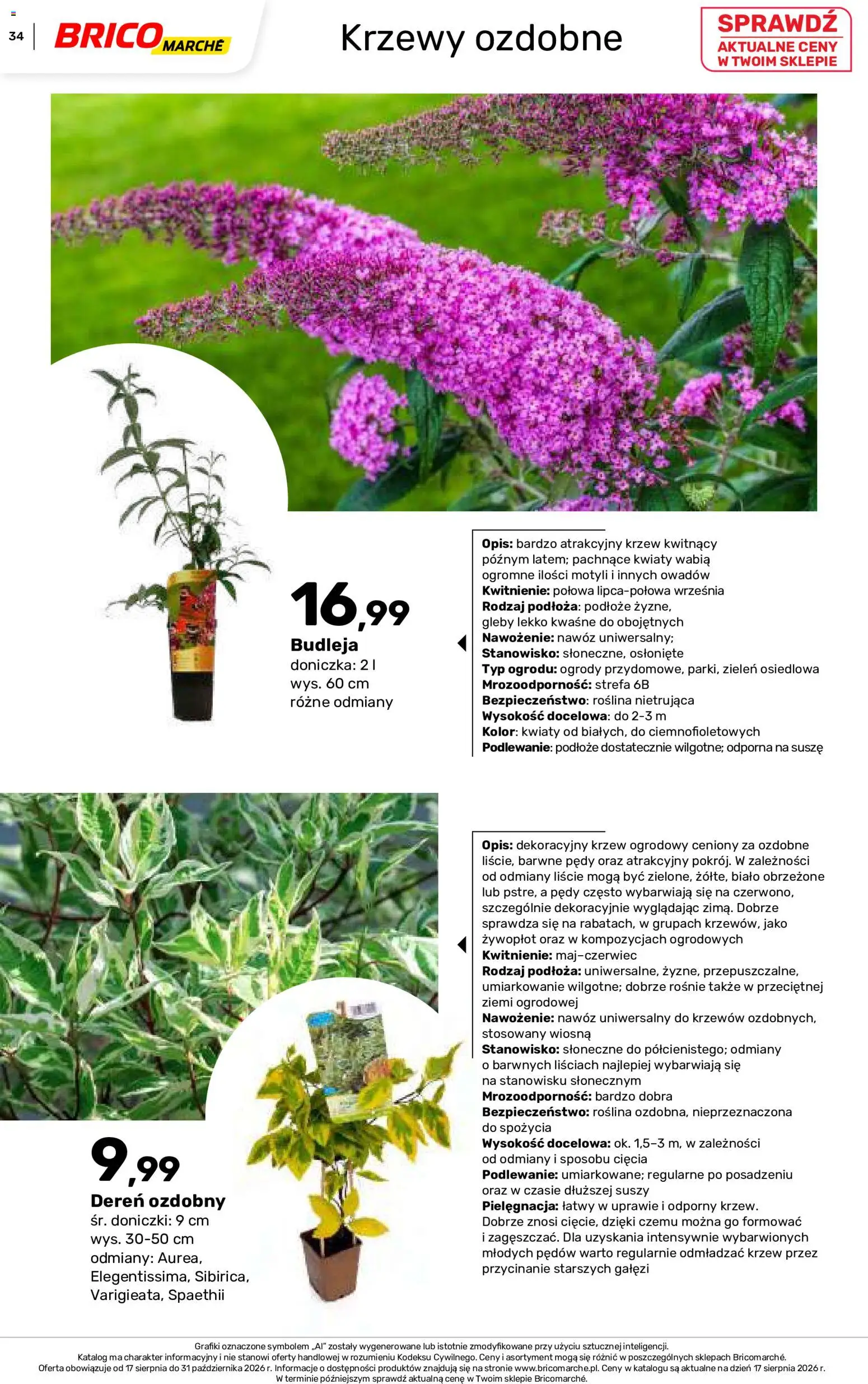 Brico Marché gazetka - Jesienne Inspiracje od 17.08.2026 | Strona: 34 | Produkty: Doniczka, Nawóz, Doniczki, Kwiaty
