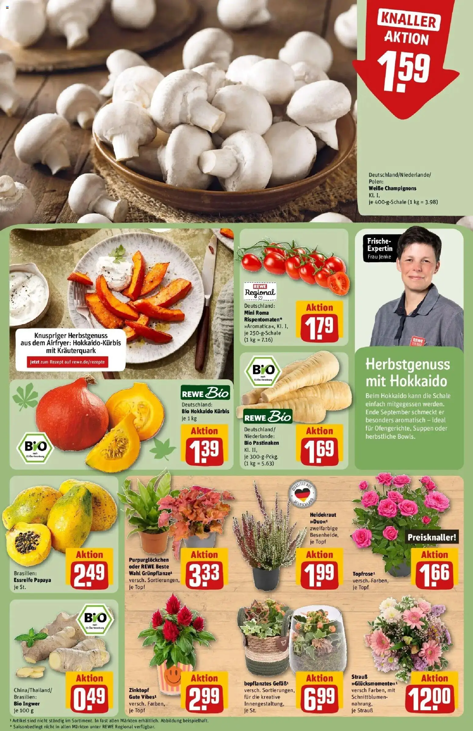 REWE Prospekt ab 28.09.2026 zum Blättern » Angebote | Seite: 13 | Produkte: Champignons, Kürbis