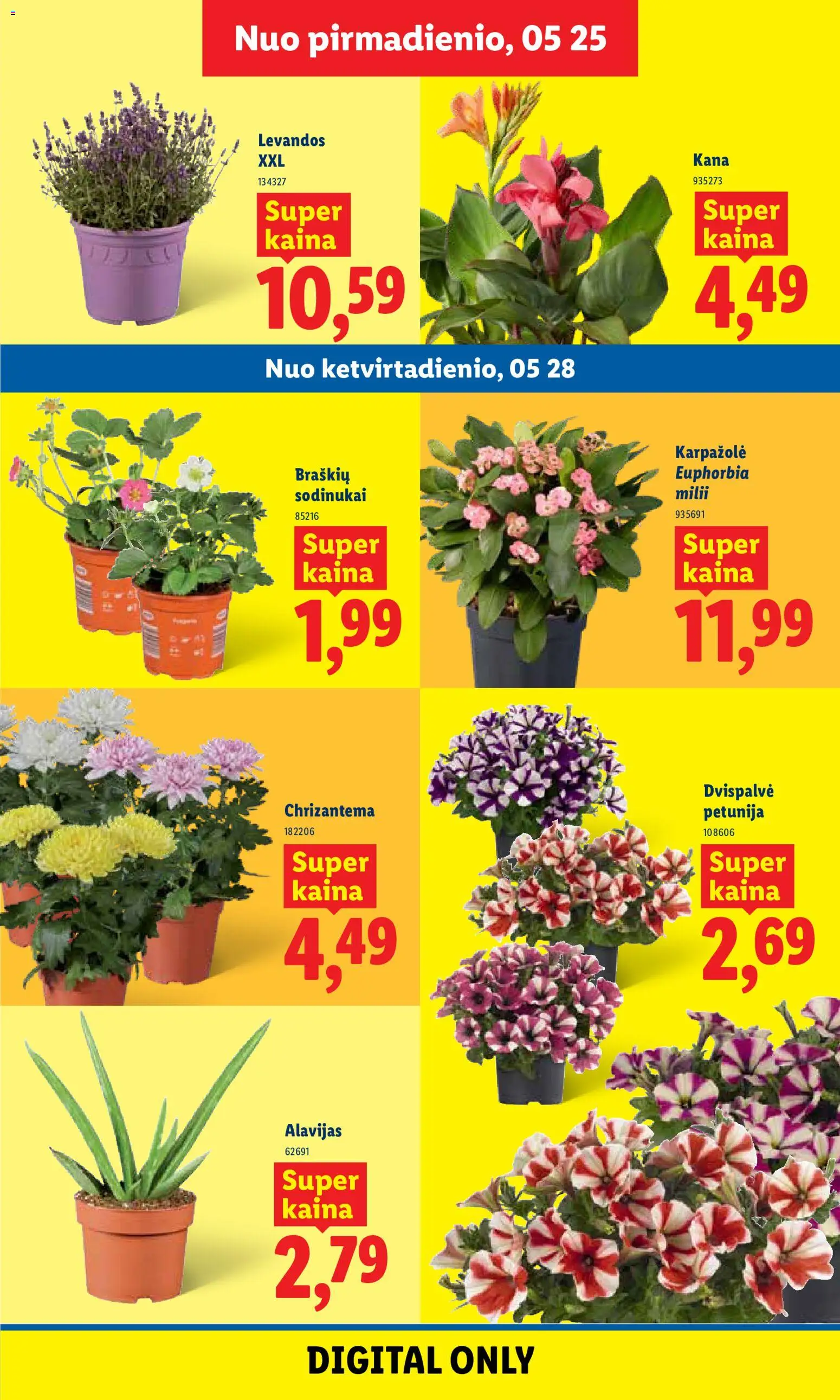 LIDL akcijos nuo 25.05.2026 | Puslapis: 7