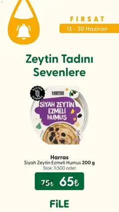 13 Haziran 2026 tarihinden itibaren geçerli olan File Market kataloğu önizlemesi