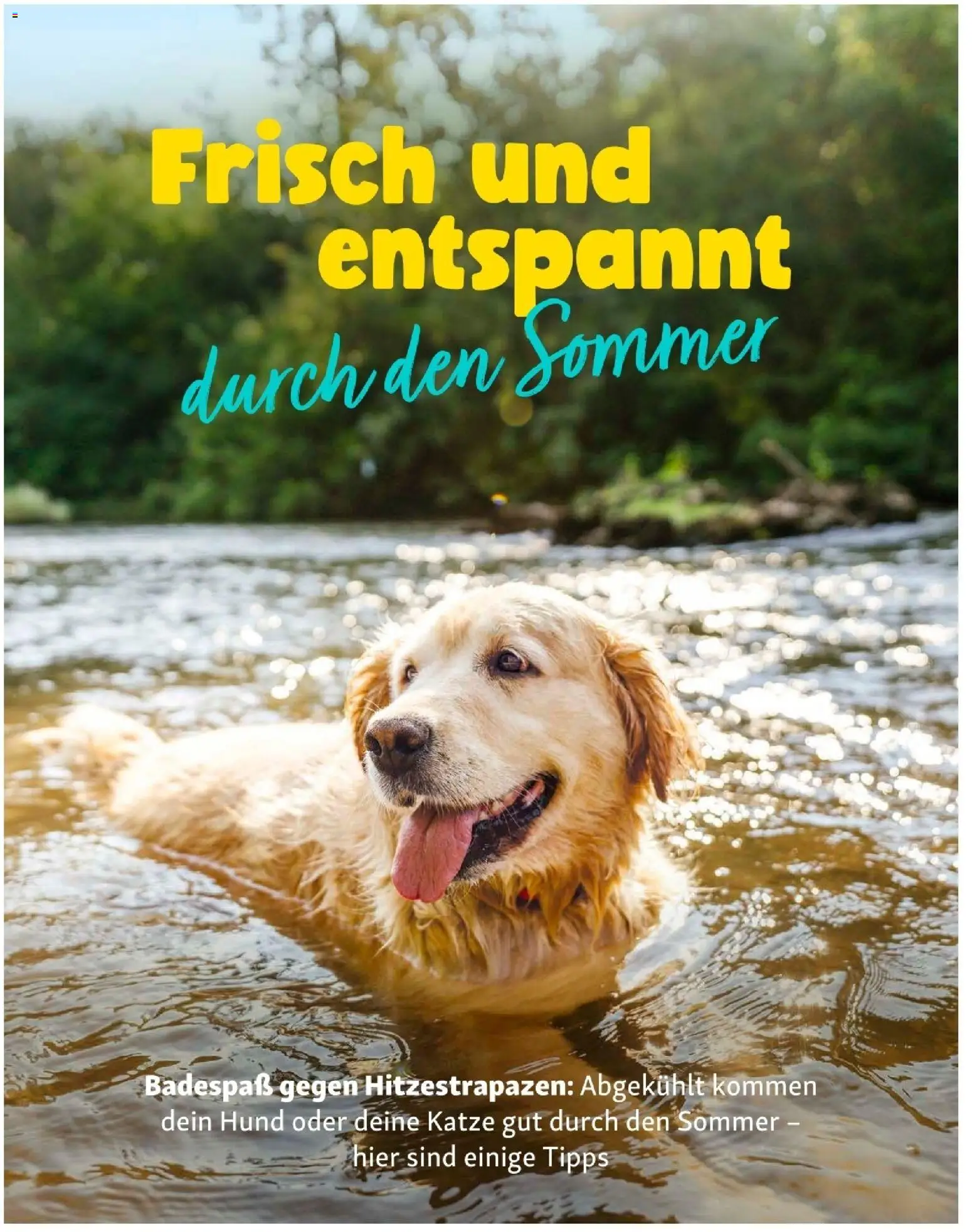 Die besten Angebote | Fressnapf Friends 07,08/26 ab 01.07.2026 | - Jetzt stöbern! | Österreich
