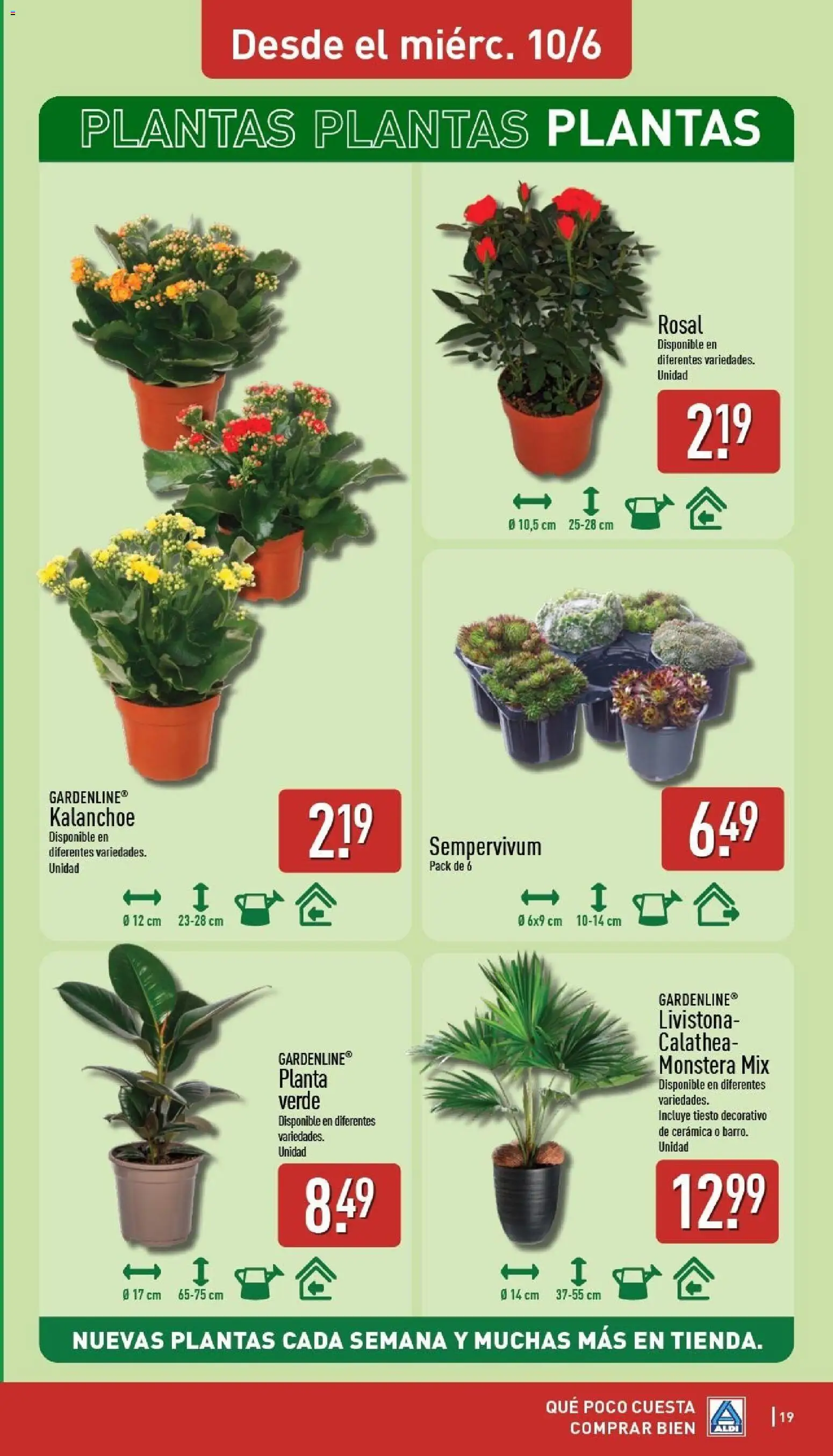 Aldi folleto Baleares │ válido desde el 08.06.2026 | Página: 19