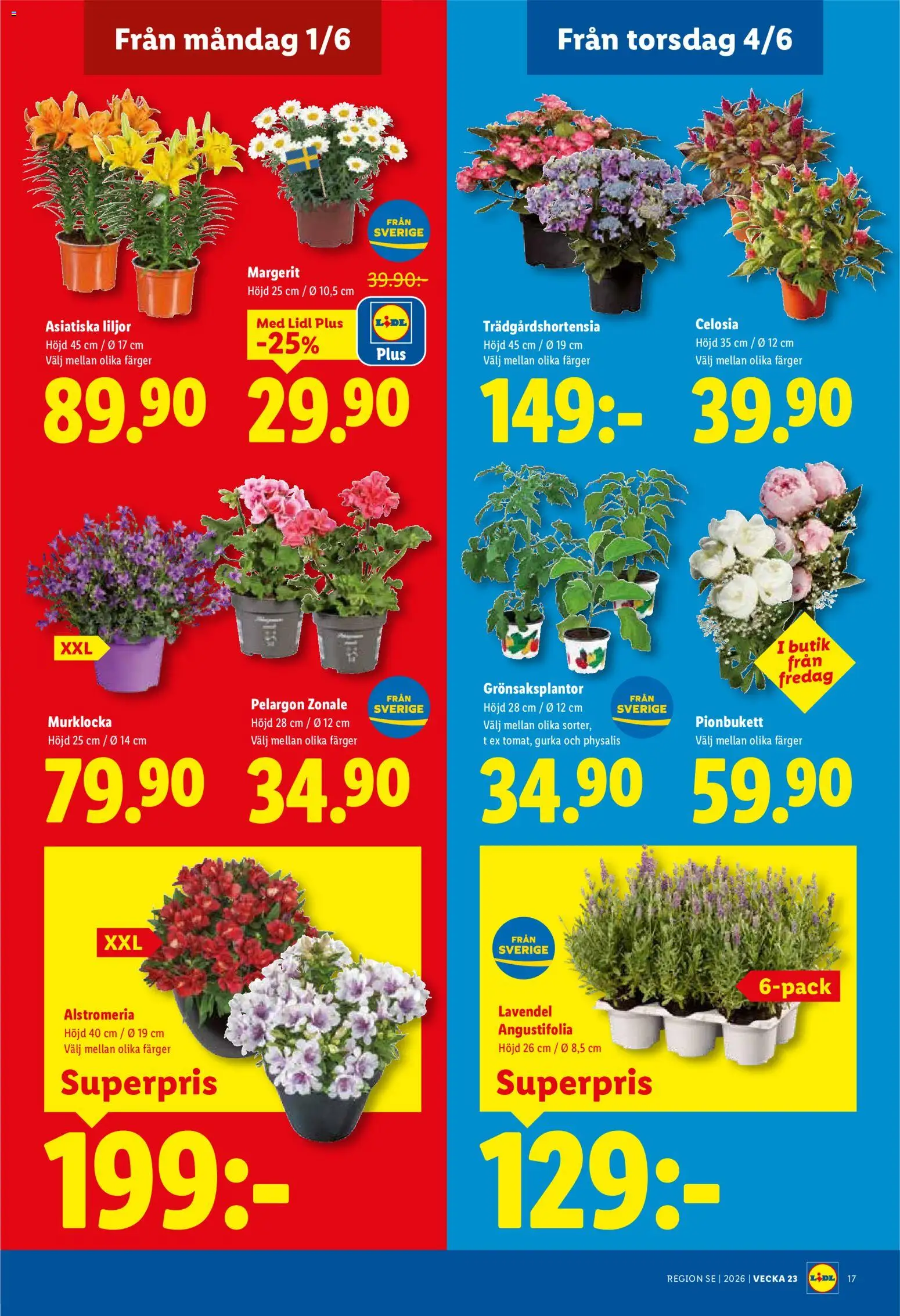 Lidl reklamblad aktuell från 01.06.2026 | Sida: 20