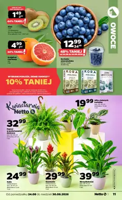 Pogląd oferty "Borówka amerykańska, Borówka, amerykańska, 500 g, 1 opak., 25,98/1 kg" - ważna od 24.08.2026 | Strona: 11