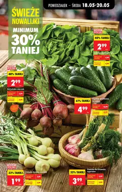 Pogląd oferty "Cebula dymka, pęczek, Spring onion, per bunch." - ważna od 18.05.2026 | Strona: 29 | Produkty: Zestaw do kiszenia ogórków