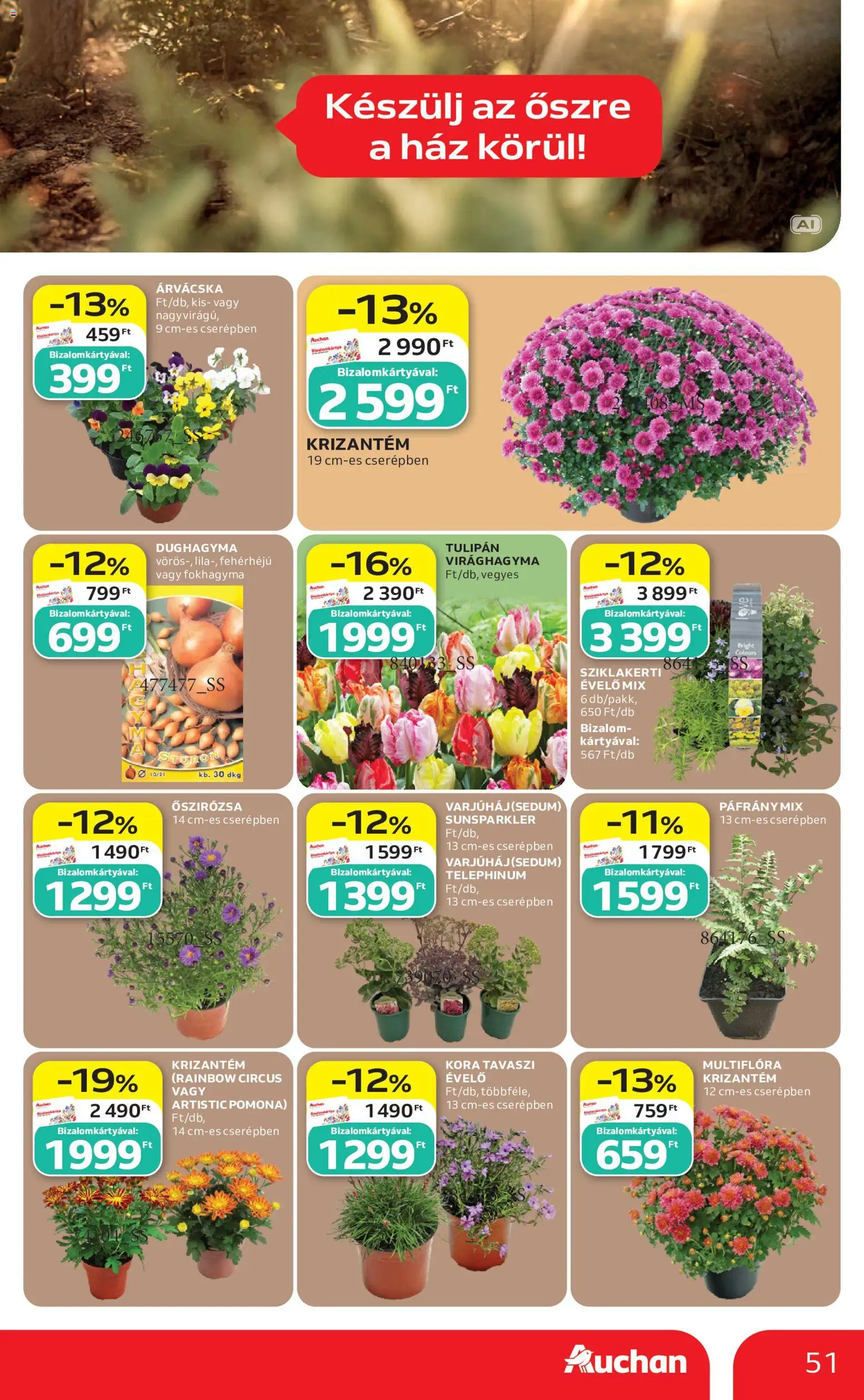 Auchan akciós ujság - amely érvényes a következő dátumtól: 2026.09.17. | Oldal: 51 | Termékek: Fokhagyma, Árvácska, Virághagyma, Tulipán