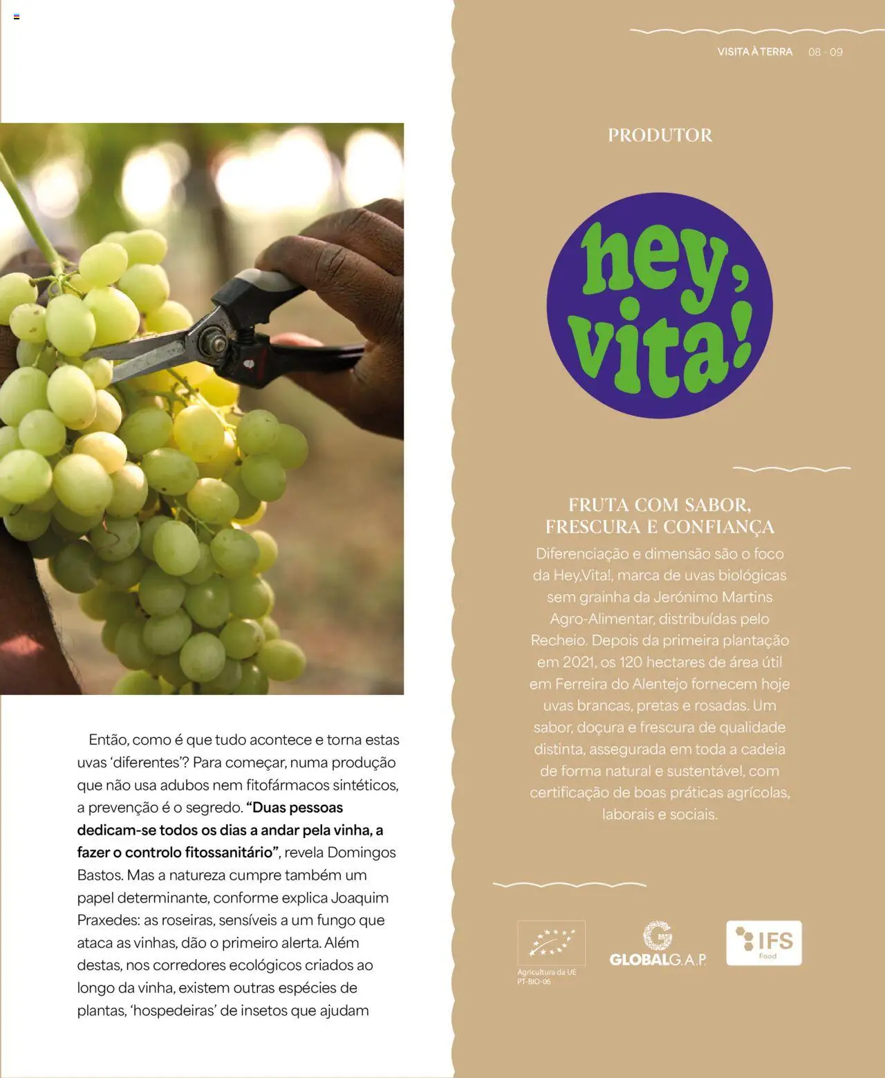 Recheio - Recheio da Terra │ válido de 25/09/2025 | Página: 9 | Produtos: Uvas