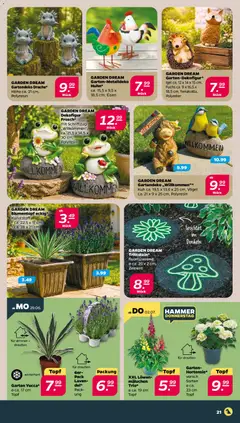Netto Prospekt ab 29.06.2026 gültig | Seite: 23 | Produkte: Blumentopf