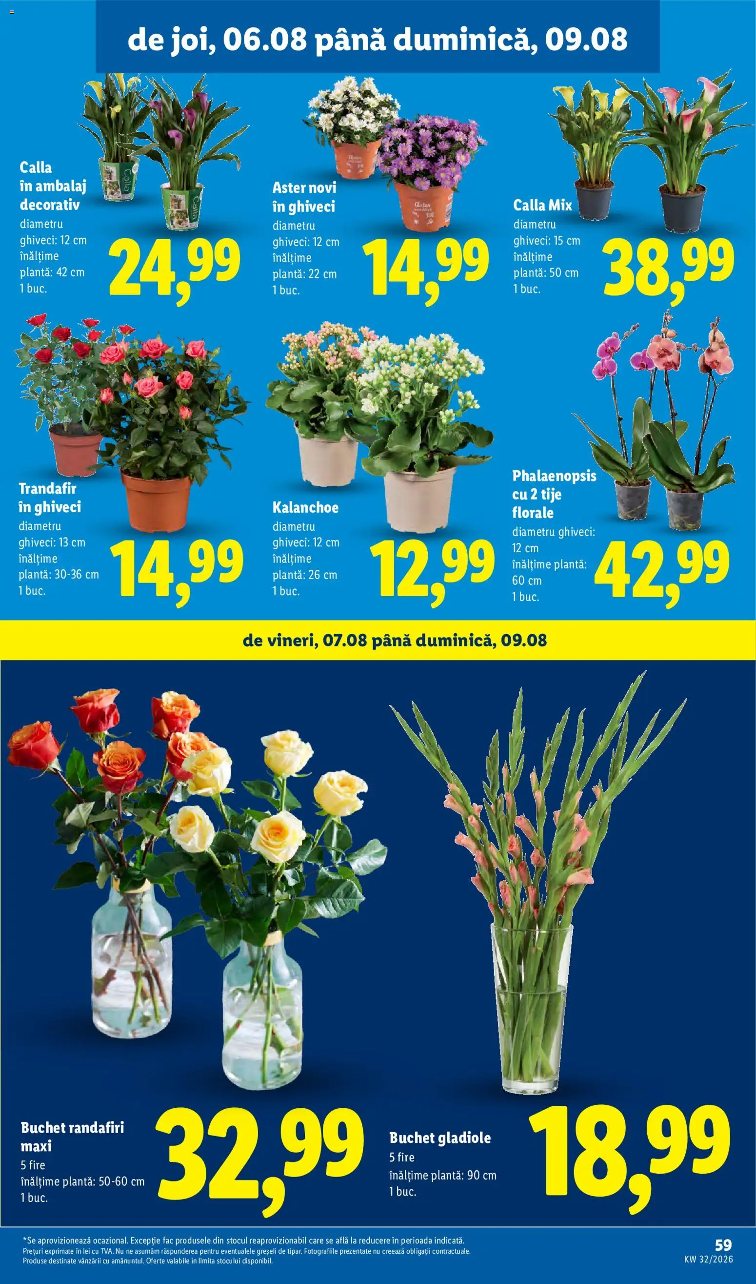 Noul catalog Lidl – valabil de la 03.08.2026 | Pagină: 59