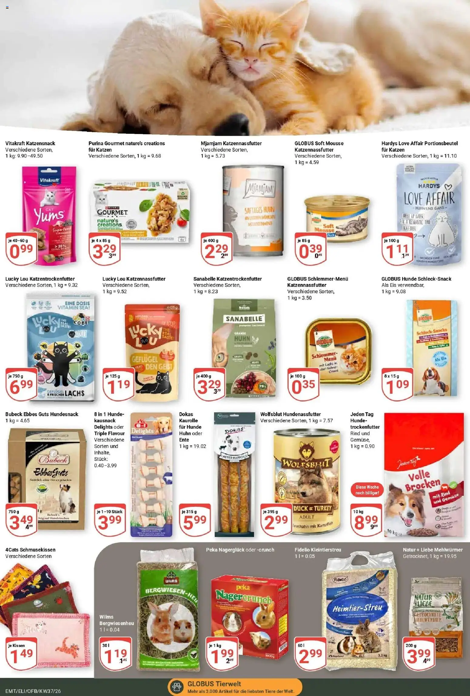 Globus Prospekt Mittelhausen (ab 07.09.2026) » Angebote online | Seite: 24 | Produkte: Kissen, Liege, Lachs, Eis