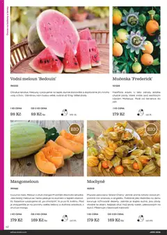 Náhled letáku Starkl katalog Jaro 2026 od 25.02.2026 | Strana: 42 | Produkty: Meloun, Ovoce, Melouny, Physalis
