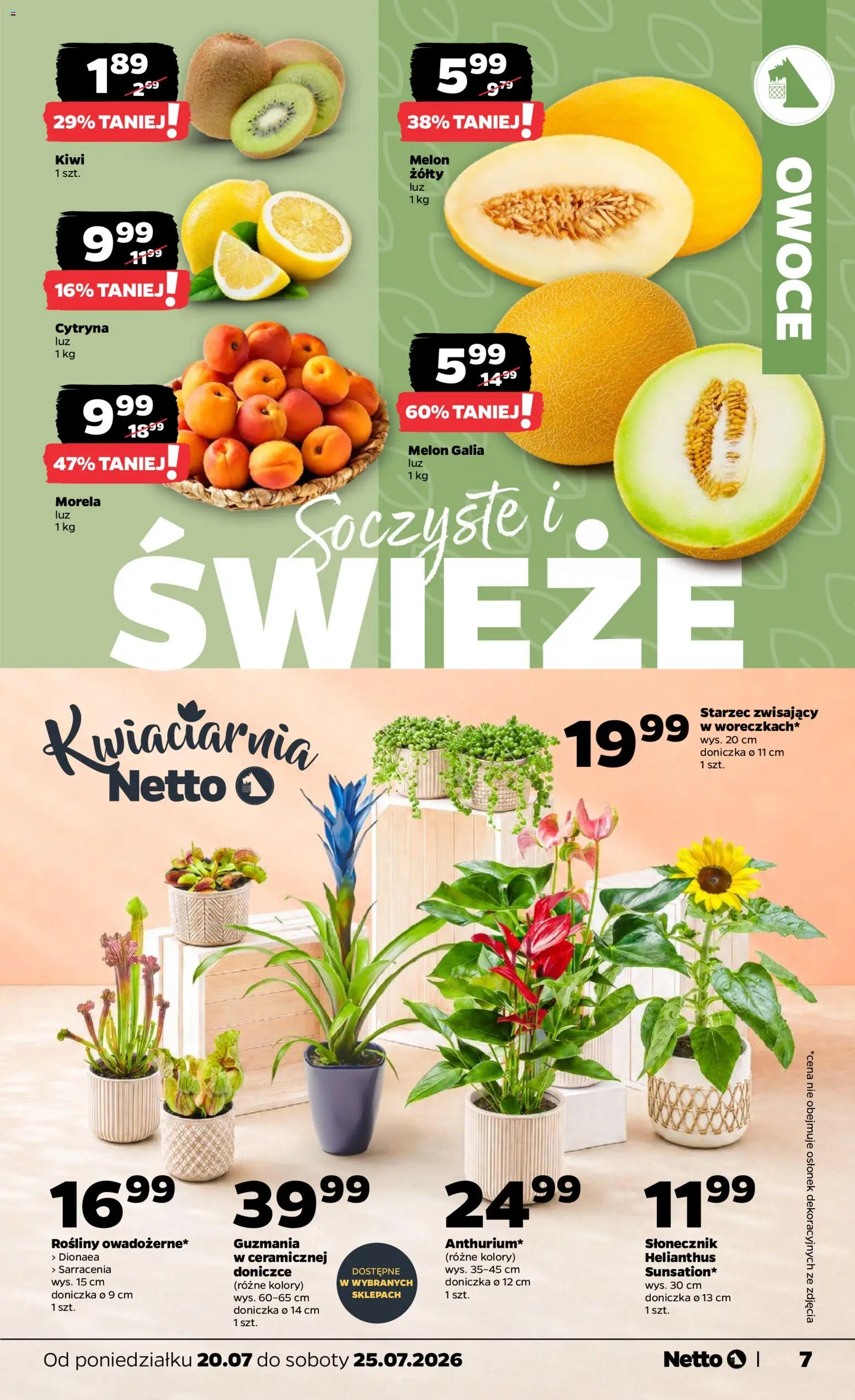 Netto gazetka od poniedziałku od 20.07.2026 | Strona: 7 | Produkty: Słonecznik, Rosliny, Kiwi, Owoce