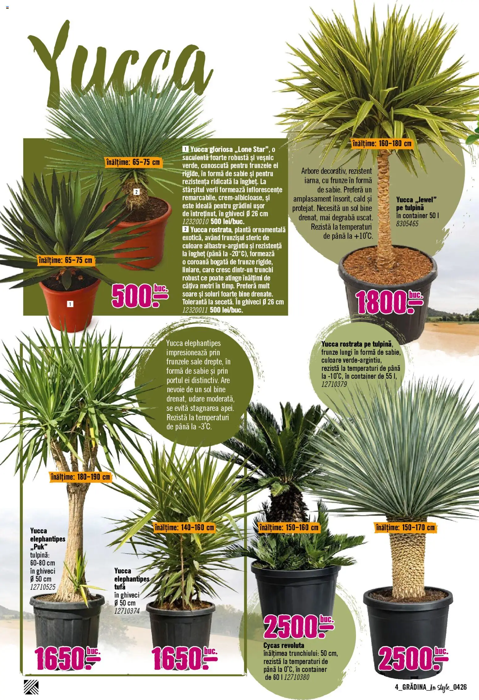 Noul catalog Hornbach – valabil de la 06.04.2026 | Pagină: 4 | Produse: Ghiveci