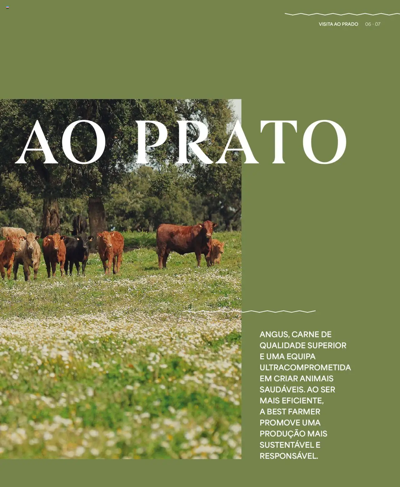 Recheio folheto │ válido de 24/04/2025 | Página: 7 | Produtos: Carne