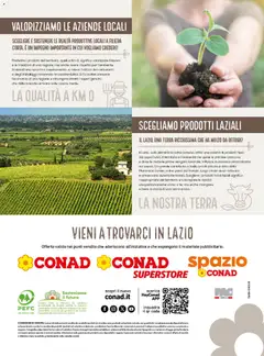 Anteprima del volantino Spazio Conad volantino Localismo Maggio Lazio valido a partire dal 29.04.2026 | Pagina: 12 | Prodotti: Culla, Terra