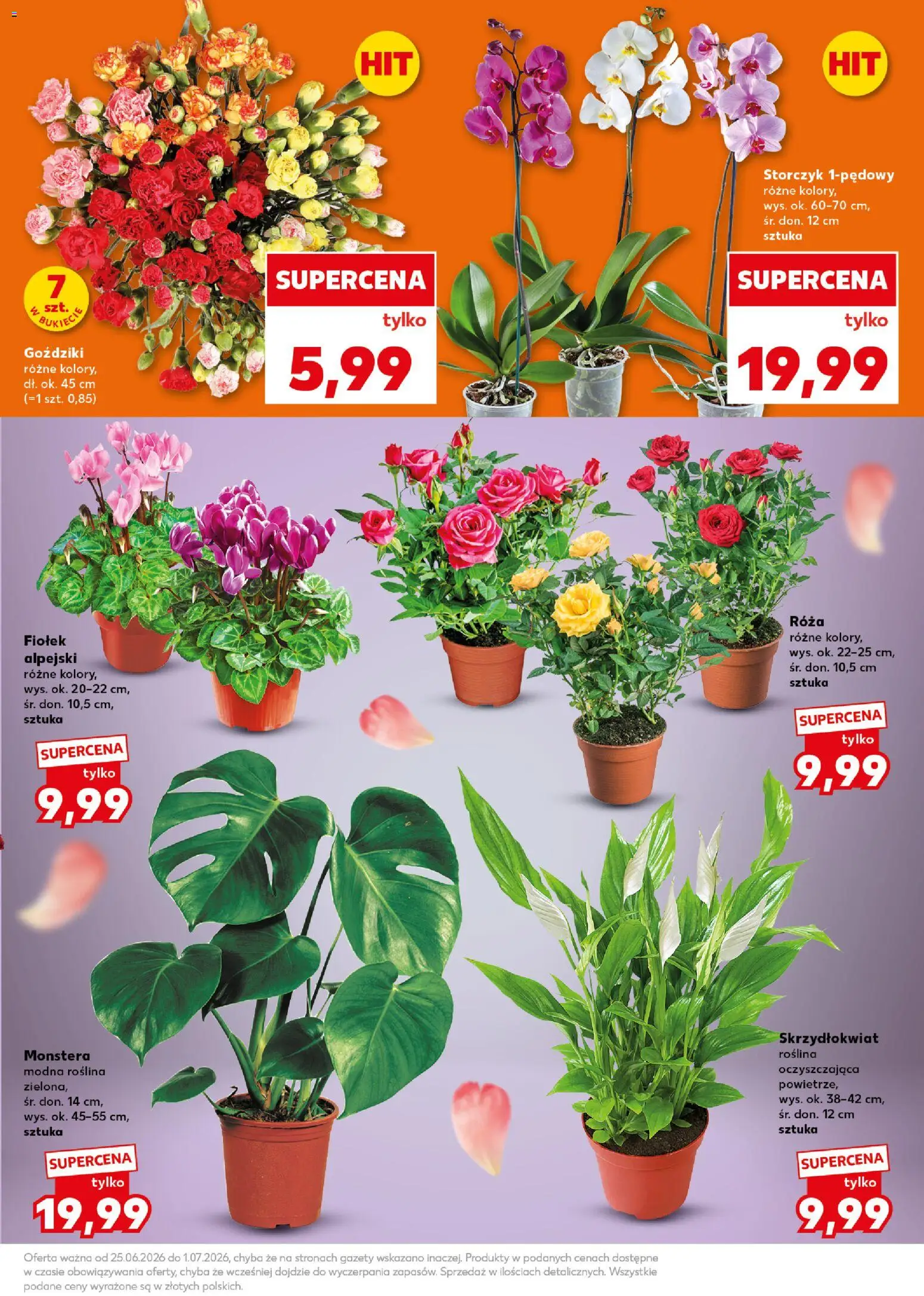 Kaufland Polsko leták - Mocny start od 29.06.2026 | Strana: 7